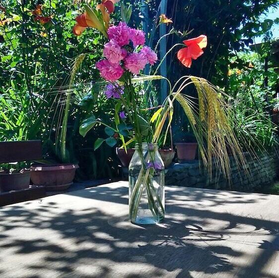 צימר Il Germano Reale