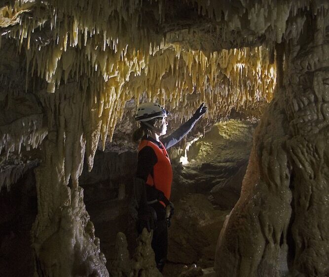 مبيت وإفطار Villa Belvedere