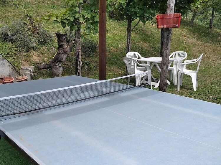 مبيت وإفطار Villa Belvedere