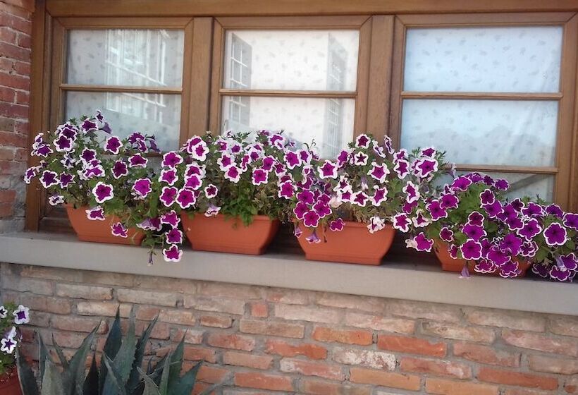 مبيت وإفطار Villa Belvedere