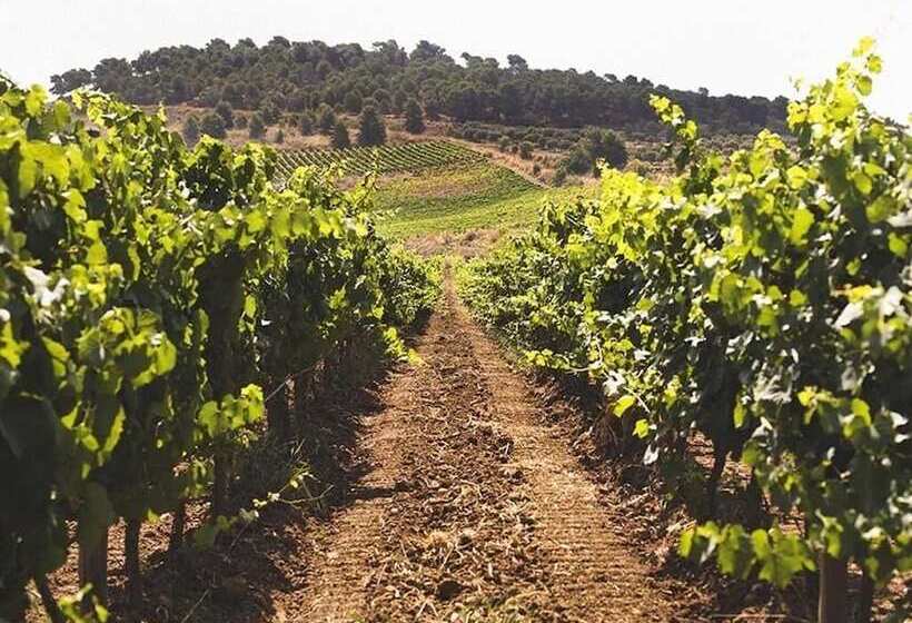 簡易ホテル Baglio Caruana Cantina & Relais