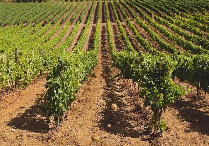 簡易ホテル Baglio Caruana Cantina & Relais