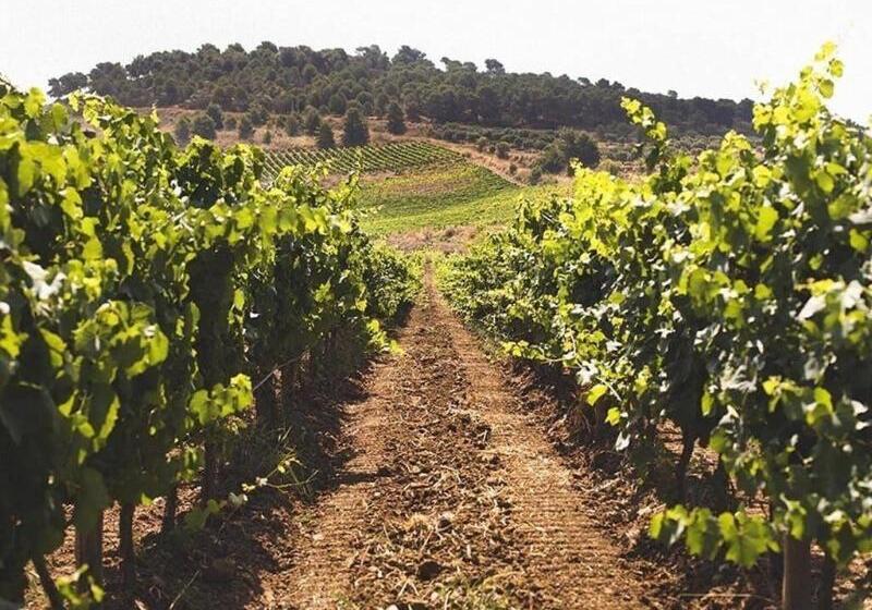 簡易ホテル Baglio Caruana Cantina & Relais