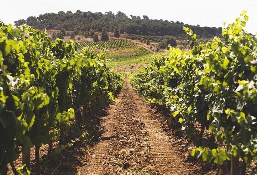 簡易ホテル Baglio Caruana Cantina & Relais