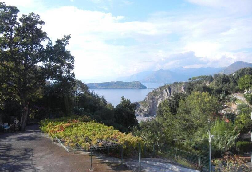 Отель Albergo Il Brillantino