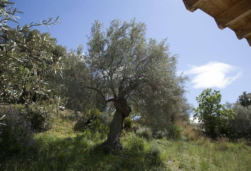 Отель Camping Fiori Di Noto