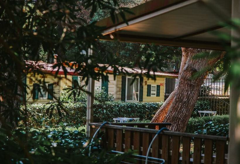 Отель Centro Vacanze Mulino D Acqua