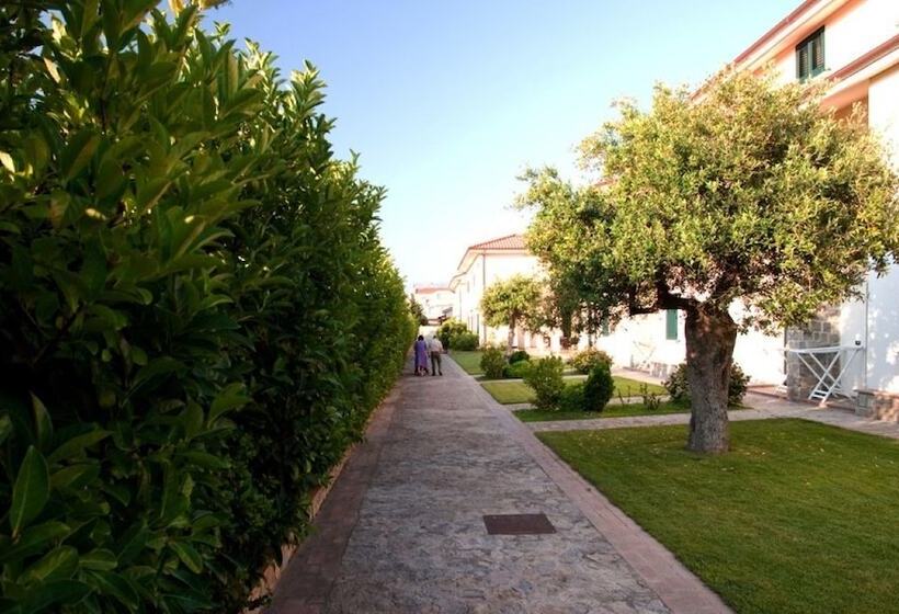 Отель Oliveto A Mare   Suite & Apartment