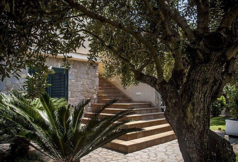 Отель Oliveto A Mare   Suite & Apartment
