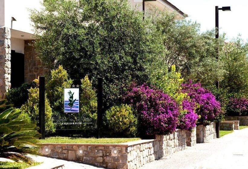Отель Oliveto A Mare   Suite & Apartment