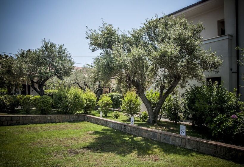 Отель Oliveto A Mare   Suite & Apartment