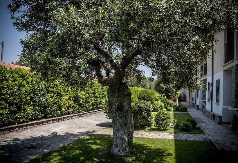Отель Oliveto A Mare   Suite & Apartment