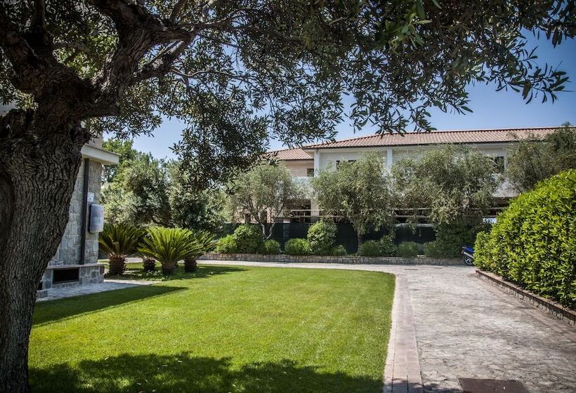 Отель Oliveto A Mare   Suite & Apartment