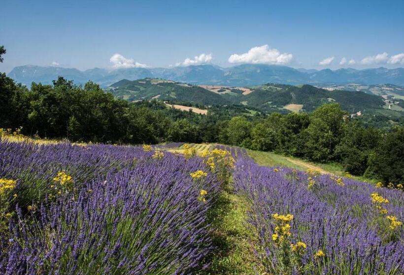 فندق ريفى Agriturismo Amargi