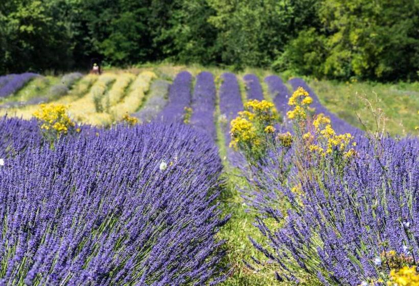 فندق ريفى Agriturismo Amargi