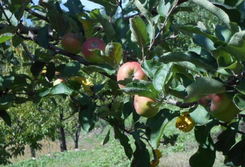 فندق ريفى Agriturismo Amargi