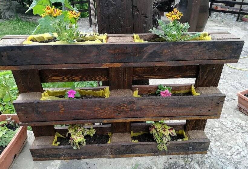 Сельский отель Agriturismo Grotta Dell Eremita