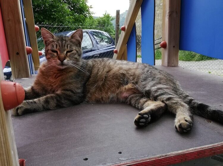 Сельский отель Agriturismo Grotta Dell Eremita