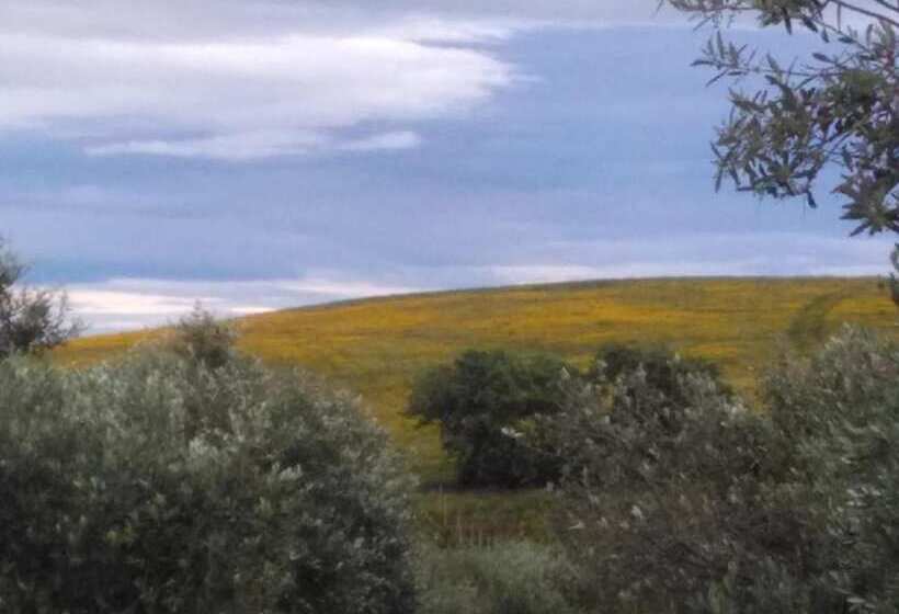 هتل روستایی Il Cantiniere