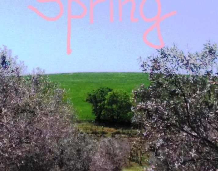 هتل روستایی Il Cantiniere