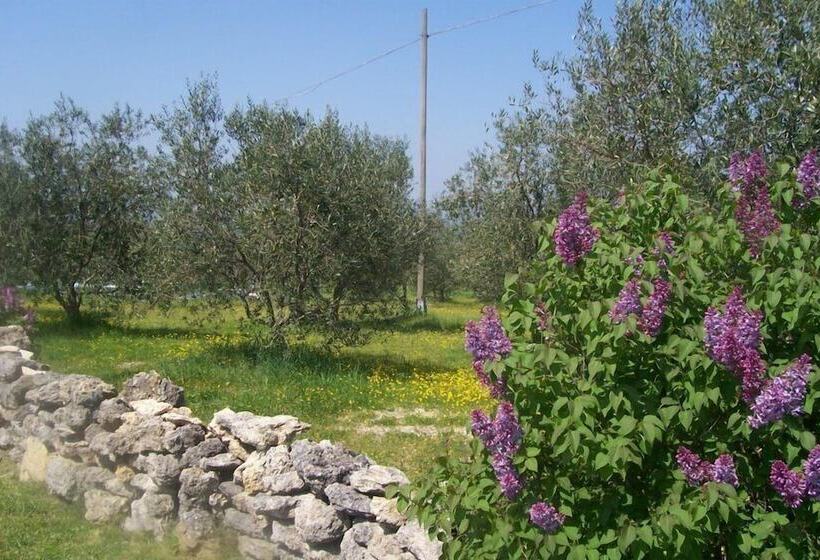 乡村酒店  Agriturismo Il Grillo Parlante