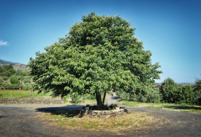 Сельский отель Agriturismo Kikajon