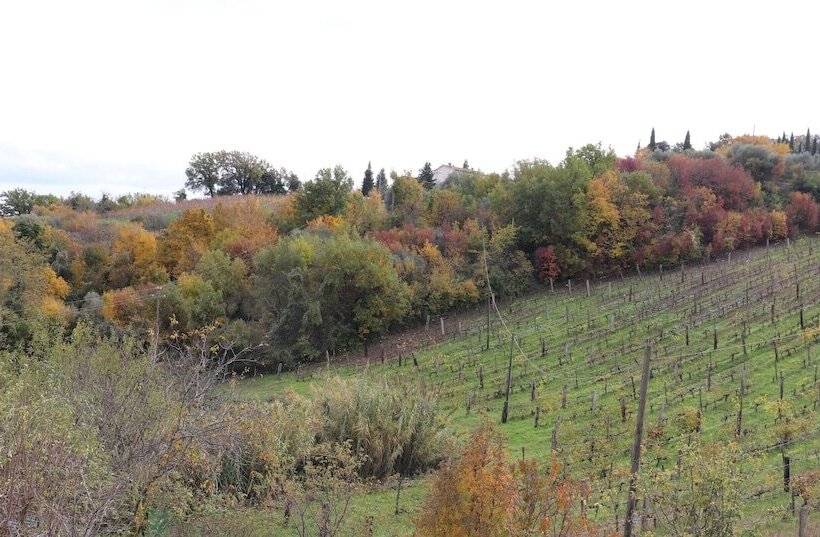 田舎風ホテル Agriturismo La Casella