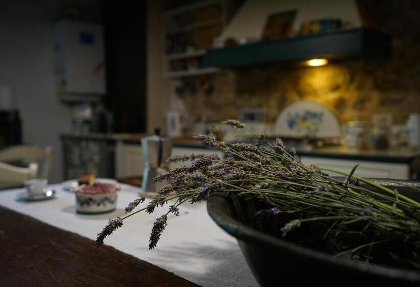 فندق ريفى Agriturismo La Colombella