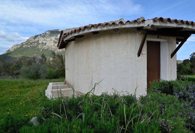 בית מלון כפרי Agriturismo Rubinu