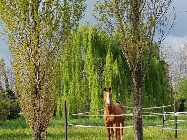 فندق ريفى Az.agr.cascina Moretta