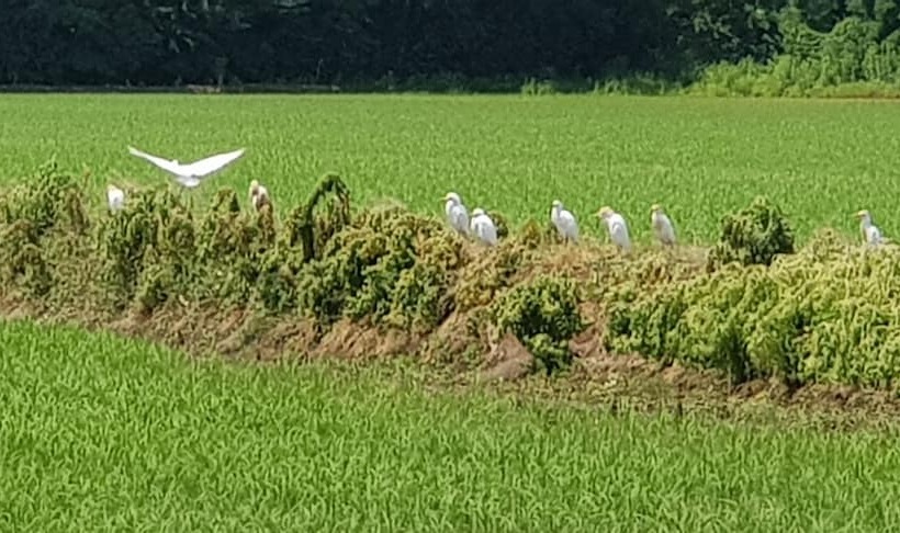 فندق ريفى Az.agr.cascina Moretta