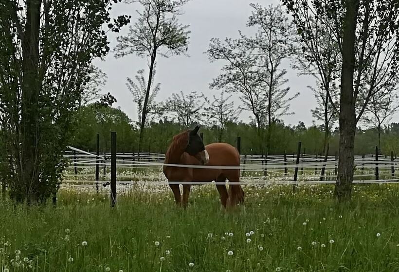 فندق ريفى Az.agr.cascina Moretta