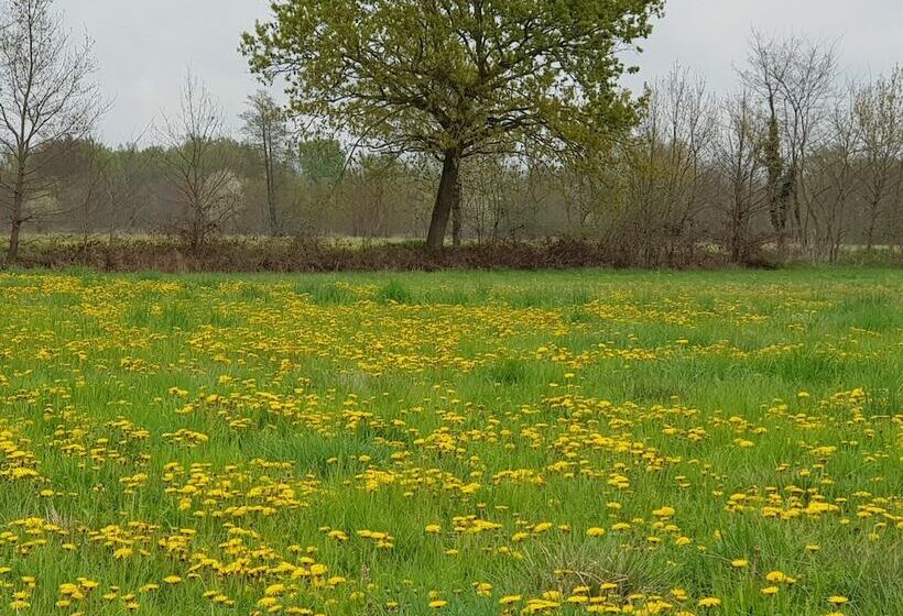 فندق ريفى Az.agr.cascina Moretta