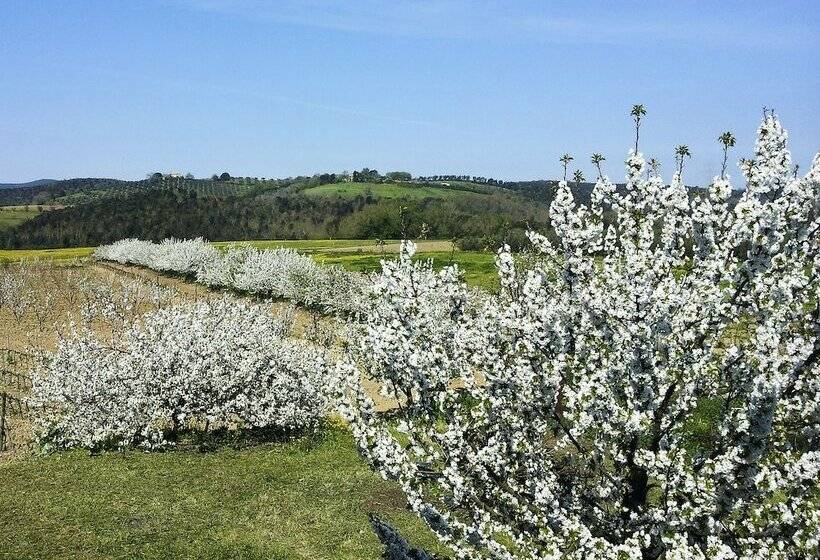 هتل روستایی Il Giardino Dei Ciliegi