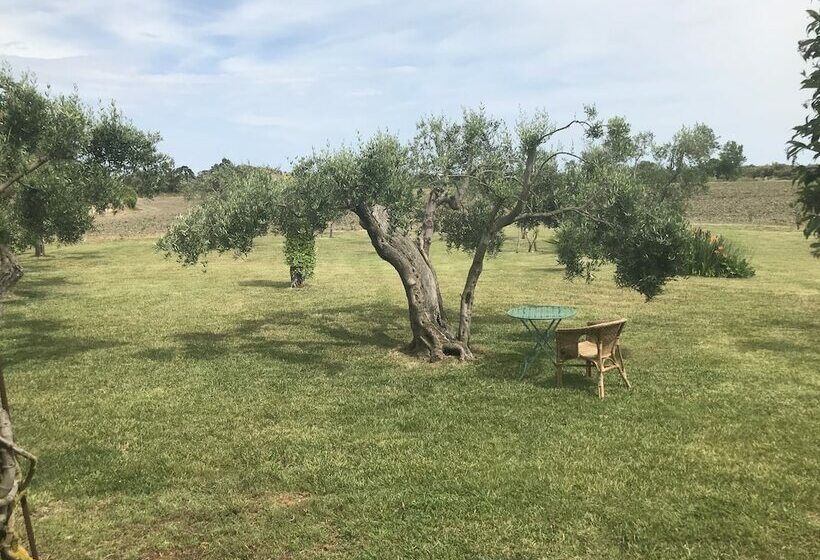 Сельский отель Masseria Scannaturco