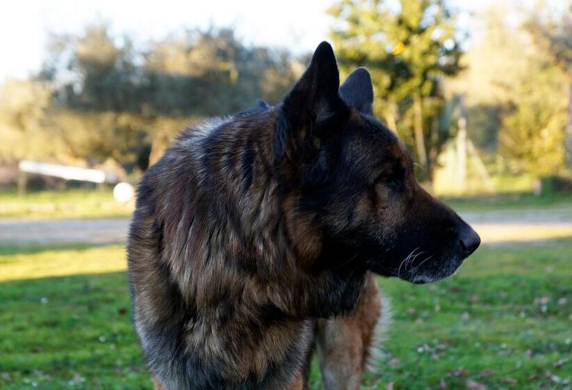 هتل روستایی Molino Della Volta