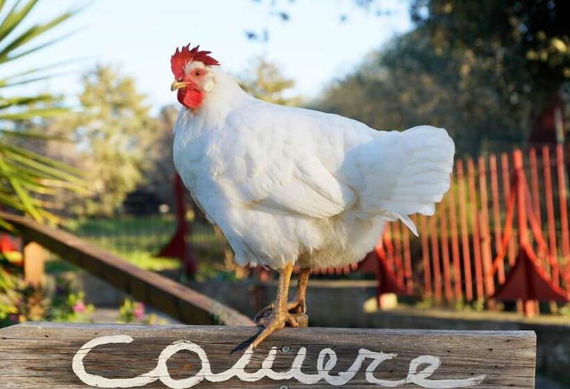 هتل روستایی Molino Della Volta