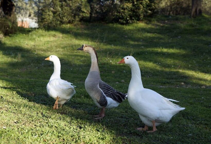 هتل روستایی Molino Della Volta