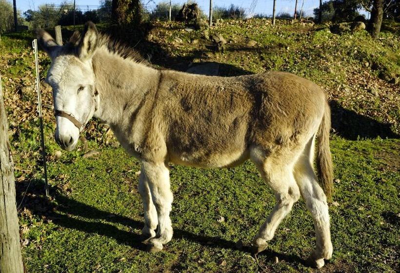 هتل روستایی Molino Della Volta