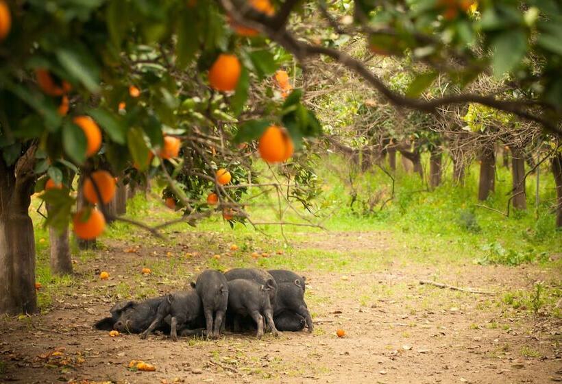 فندق ريفى Pietre Di Gelo Dei F.lli Valenziani