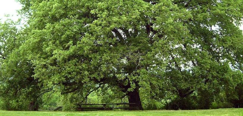 هتل روستایی Poggio Del Castagno