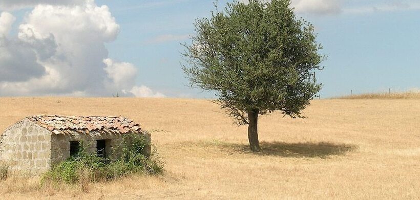 هتل روستایی Poggio Del Castagno