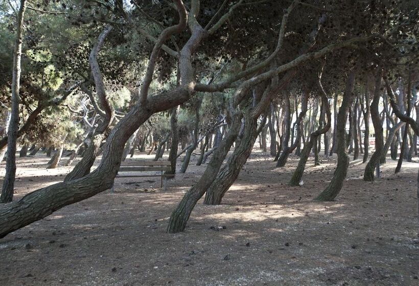 Lillananna Bed & Breakfast