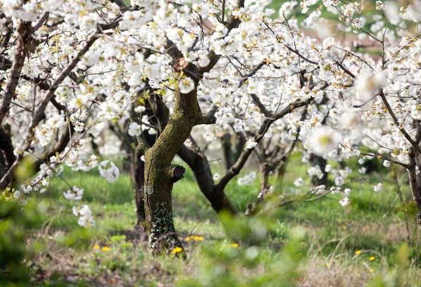 Пансион Antica Corte