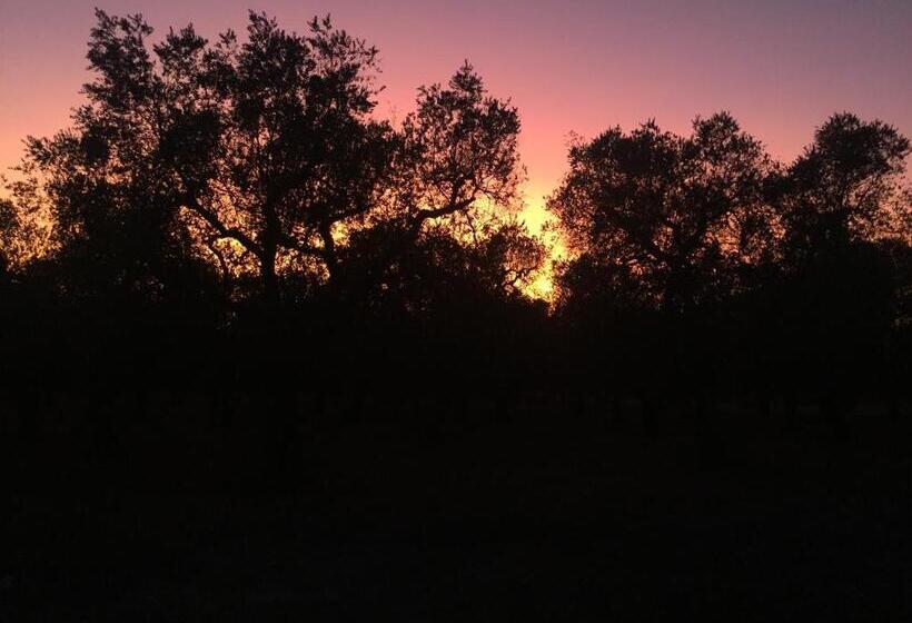 بنسيون Palazzo Vilei