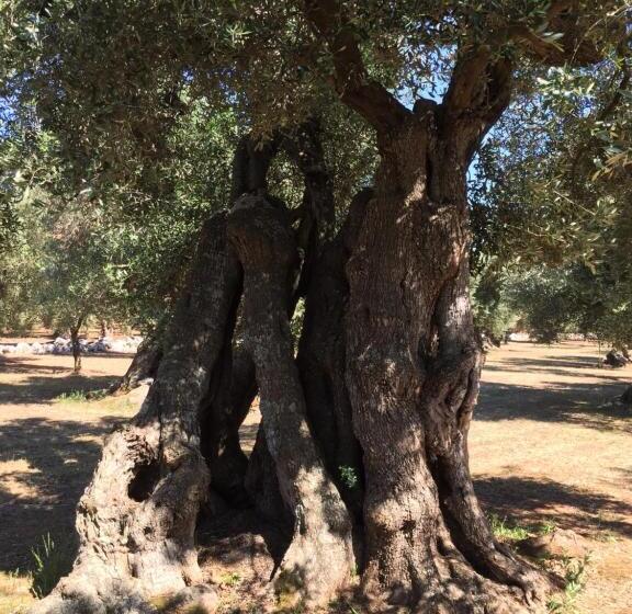 פנסיון Palazzo Vilei