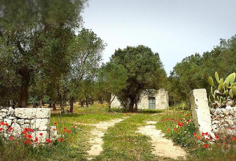 بنسيون Palazzo Vilei