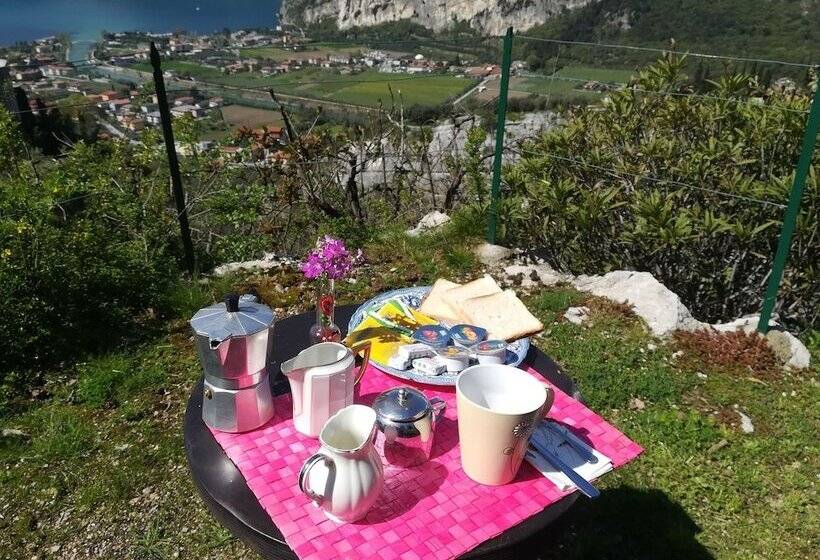 Garden Belvedere B&b