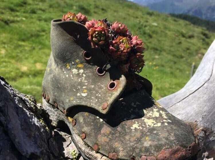 Отель Mair Am Turm