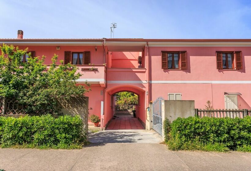 민박 L Aurora Viola